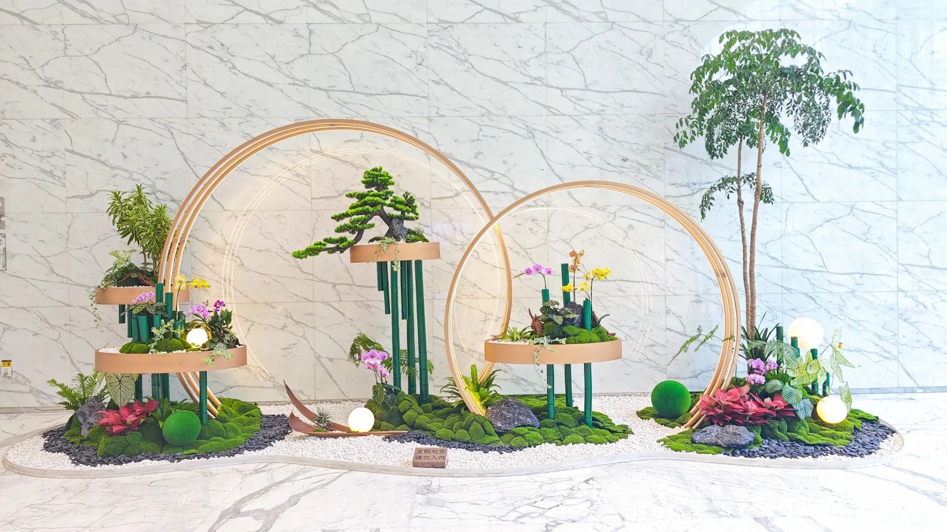 余姚植物出租哪家强？价格实惠等你来瞧！